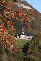 Abbaye Tamie depuis chaumes 3