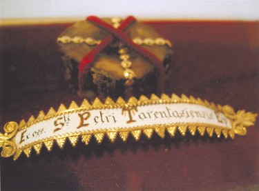 SPT - Chasse de Cîteaux 1