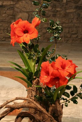 Art floral - C16