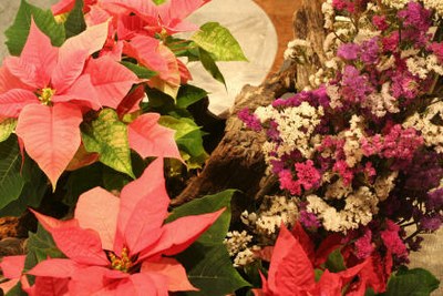 Art floral - C34