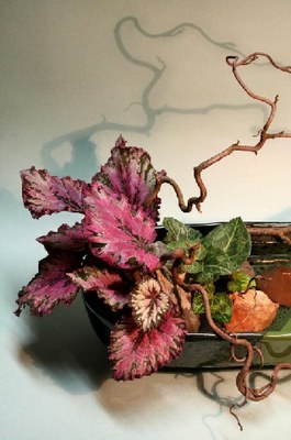 Art floral - C62