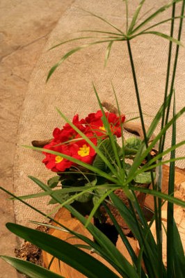 Art floral - C74