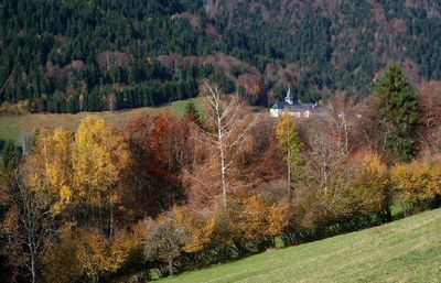 Contemplatiin - arbres - 3