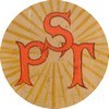 Logo SPT-100